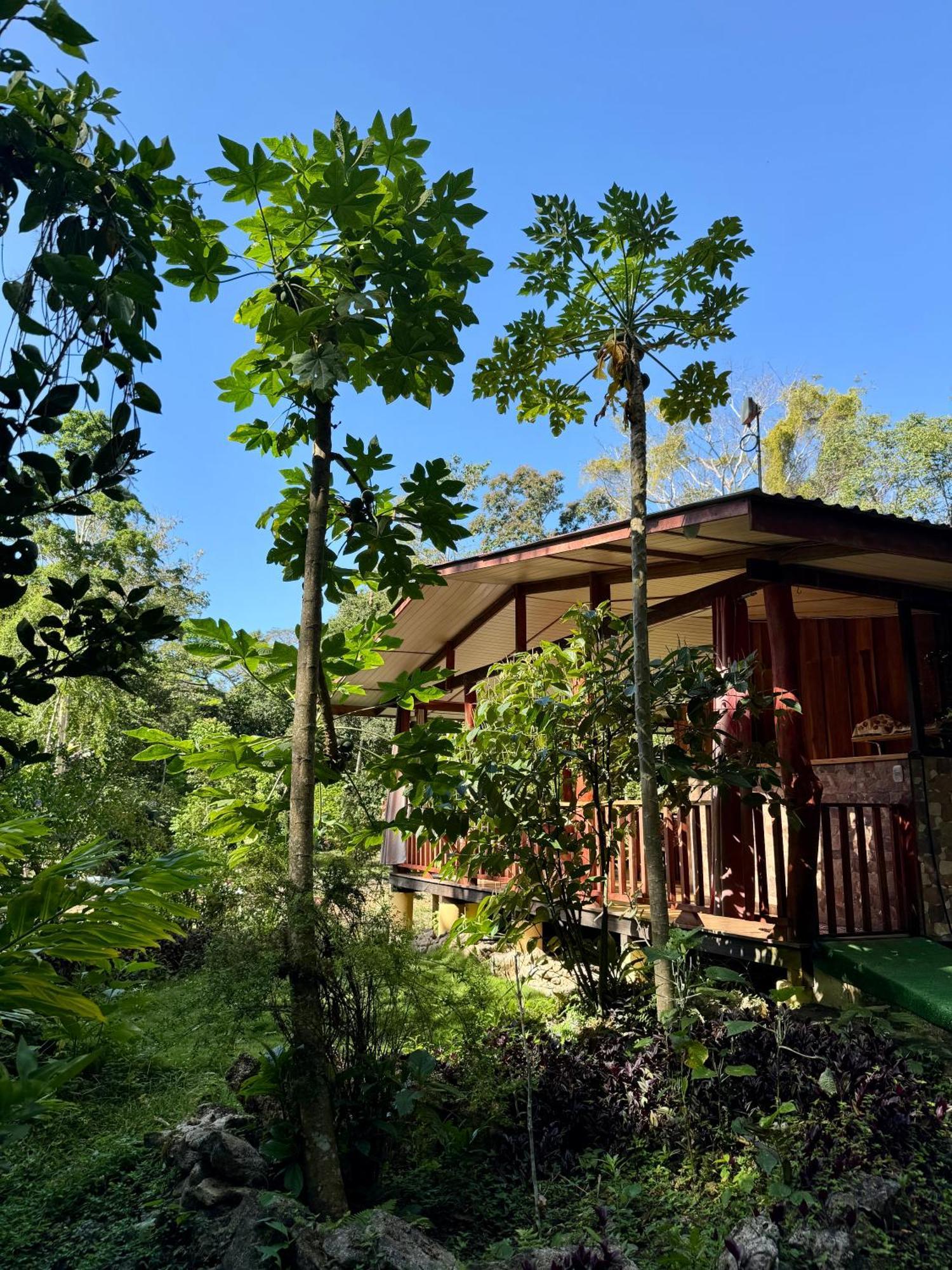 Brigitte'S Ranch Hotell Cahuita Exteriör bild